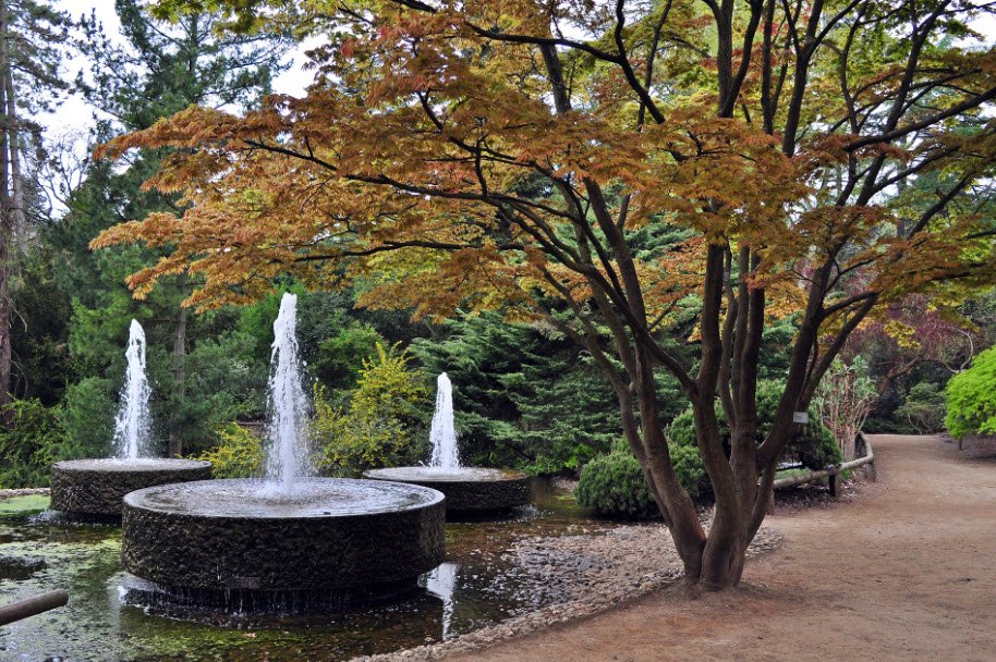 Zum Forstbotanischen Garten, Germany, Germany
